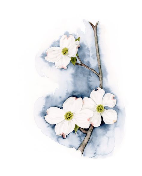 Watercolor Dogwood Flowers, Dogwood Flower Painting, Dogwood Watercolor, Dogwood Painting, Wall Magazine, Inspirational Paintings, Drawing Birds, Learning Art, Flowers Paintings