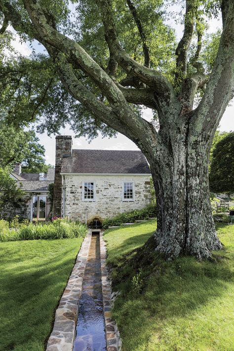 White House Garden, Bunny Mellon, Gardener Aesthetic, Tiered Garden, Aesthetic Garden, Flowers Wallpaper, Easy Garden, Raised Beds, Southern Living