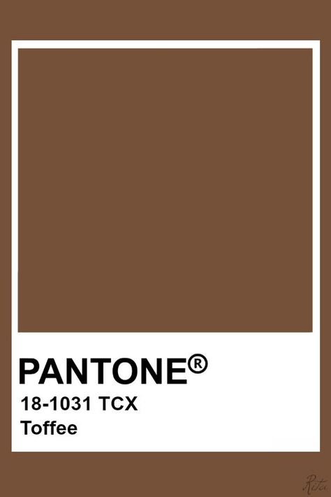 Brown Colour Pantone, Brown Pantone Palette, Pantone Colors Brown, Coffee Pantone, Pantone Brown, Coffee Color Palette, Brown Pantone, Pantone Tcx, Pantone Color Chart