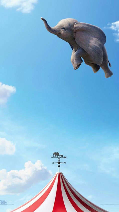 DUMBO 2019 Dumbo 2019, Dumbo Movie, Flying Elephant, Images Disney, Disney Phone Wallpaper, Disney Live Action, Walt Disney Pictures, Movie Wallpapers, An Elephant