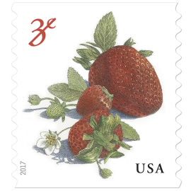 The Postal Store @ USPS.com Cute Stamps, Usa Stamps, Price Of Stamps, Red Pear, Strawberry Garden, Buy Stamps, Commemorative Stamps, Forever Stamps, Small White Flowers