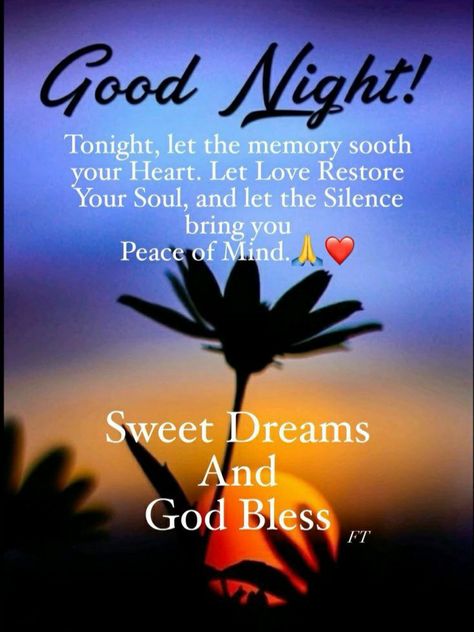 Sleep Well Quotes, Sleep Well Good Night, Christian Good Morning Messages, Sweet Dreams Quotes, Miracle Morning Affirmations, Good Night Lover, Quotes Sleep, Beautiful Good Night Messages, Sweet Dreams Sleep Tight