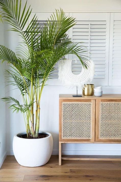 Eclectic Entryway, نباتات منزلية, Farmhouse Side Table, Cute Dorm Rooms, Brass Vase, Beach House Interior, Tropical Houses, Decor Minimalist, Tropical Decor