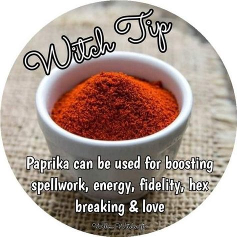 Paprika Witchcraft Uses, Paprika Witchcraft, Paprika Magical Properties, Cinnamon Witchcraft, Magickal Tips, Witches Jar, Hoodoo Magic, Witchcraft Spells For Beginners, Witch Tips