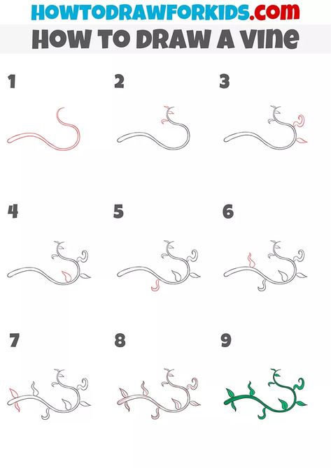 How to Draw a Vine - Easy Drawing Tutorial For Kids How To Draw A Vine Step By Step, Draw Vines And Leaves, Vine Painting Simple Canvas, Vines Painted On Walls, How To Draw Vines Step By Step, Flower Vine Drawing Simple, How To Draw A Vine, Drawing Vines, Vine Painting Simple