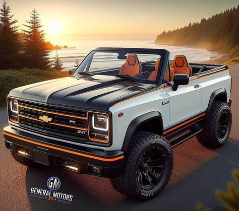 Classic Cars Trucks Chevy, Best Suv Cars, Trucks Chevy, Chevy 4x4, Gmc Pickup Trucks, Future Trucks, Vintage Pickup Trucks, Custom Chevy Trucks, Chevy Blazer