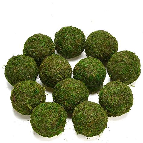 Amazon.com: Byher Decorative Ball Natural Green Moss Handmade (3.5"-Set of 6): Arts, Crafts & Sewing Olive Green Decor, Moss Basket, Moss Table Runner, Coffee Table Arrangements, Moss Ball, Moss Decor, Moss Balls, Terrarium Decor, Decorative Spheres