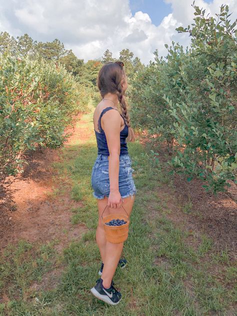 fruit farm picking blueberries candid blue Blueberry Picking Pictures, Blueberry Field Photoshoot, Blueberry Picking Outfit, Blueberry Aesthetic, Picking Blueberries, Fruit Farm, Blueberry Picking, Blueberry Farm, Beach Instagram Pictures