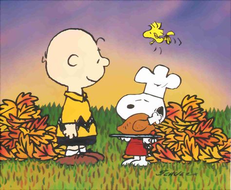 Snoopy Charlie Brown Thanksgiving - Seasonal Wallpaper Image ... Funny Thanksgiving Pictures, Thanksgiving Snoopy, Peanuts Thanksgiving, Charlie Brown Wallpaper, Wallpaper Snoopy, Peanuts Wallpaper, Happy Thanksgiving Images, Charlie Brown Thanksgiving, Thanksgiving Cartoon