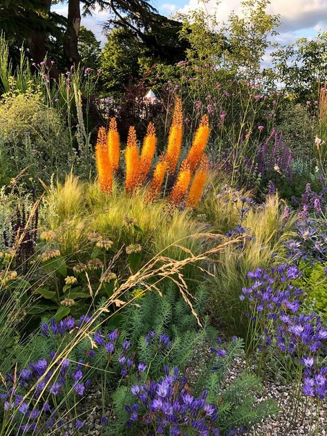 Hampton Court Gardens, Heather Gardens, Beth Chatto, Coastal Traditional, Colorful Cottage, Prairie Garden, Meadow Garden, Potager Garden, Dry Garden