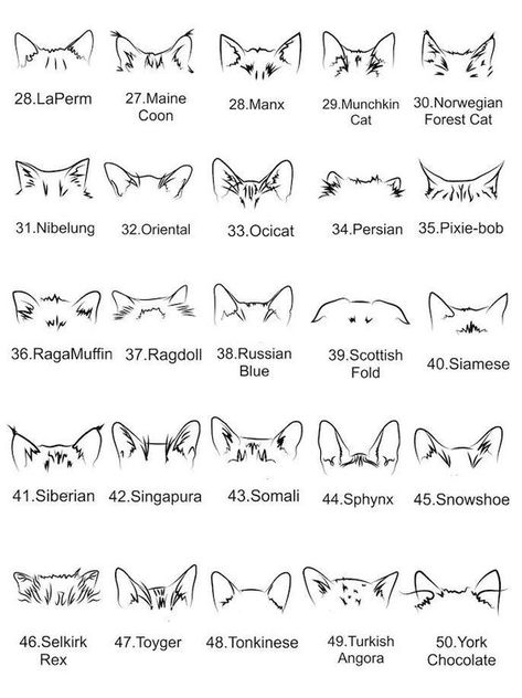 Cutest Small Cat Tattoo Design Ideas For Girls 2022-Smal Cat Tattoo Designs Fonts for tattoos #fontsfortattoos tattoo #tattoo tattoos #tattoos fonts #fonts font #font 6.1 Mini Cat Tattoo Simple, Cat Outline Tattoo Simple, Cat Name Tattoo, Cute Cat Tattoo Simple, Small Cat Tattoo Simple, Mini Cat Tattoo, Cat Finger Tattoo, Tattoos Names, Small Cat Tattoo