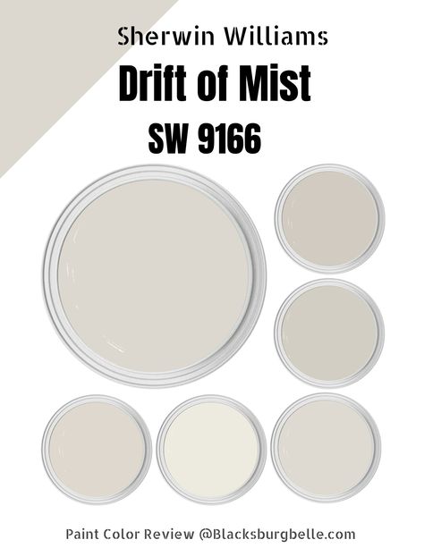 Sherwin Williams Drift of Mist (Palette, Coordinating & Inspirations) Sherwin Williams Solstice Paint, Sherwin Williams Crushed Ice Coordinating Colors, Crushed Ice Sherwin Williams Kitchen, Crushed Ice Sherwin Williams Living Room, Snowfall Sherwin Williams, Crushed Ice Sherwin Williams, Sherwin Williams Crushed Ice, Sherwin Williams Gale Force, Sherwin Williams Silver