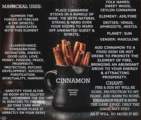 Cinnamon Magick, Magical Herbs Witchcraft, Money Spells Magic, Wicca Recipes, Hoodoo Magic, Hoodoo Conjure, Hoodoo Spells, Magickal Herbs, Witch Herbs