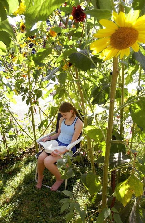 Grow a sunflower house for kids | OregonLive.com Backyard Crafts, Sunflower House, Rustic Backyard, Handmade Charlotte, Sunflower Garden, Children's Garden, Backyard Garden Design, Whimsical Garden, Perfect Garden