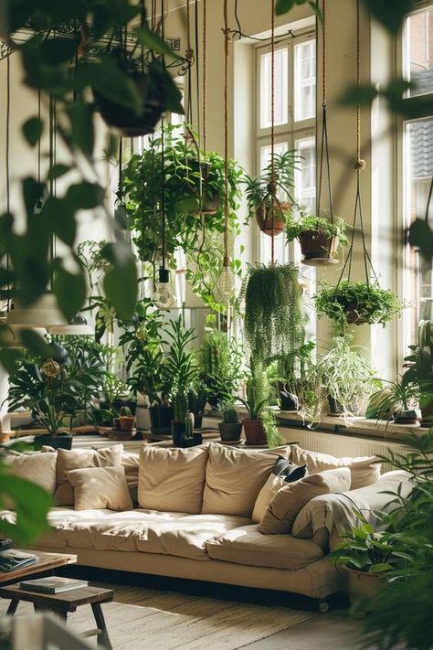 Large Window With Plants, Hanging Plant Inspiration, Indoor Plant Design, Hanging Plants Living Room, Hanging Plants Aesthetic, Hanging Plant Aesthetic, House Plant Display Ideas, Evergreen Room, Picture Hanging Ideas