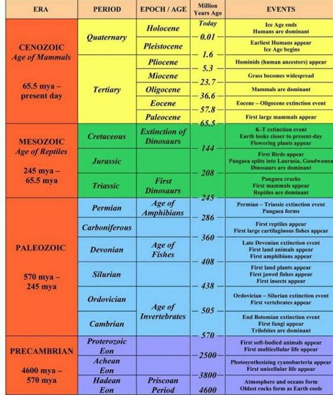 Geological time scale Geological Time Scale Timeline, Earth Science Experiments, Elementary Earth Science, Geology Lessons, Earth Science Middle School, Science Wallpaper, Earth Science Projects, Aesthetic Earth, Geologic Time Scale