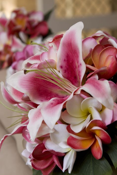 Frangipani Bouquet, Frangipani Wedding, Lily Bouquet, Tiger Lily, Lily Flower, Flowers Bouquet, Beautiful Flowers, Wedding Flowers, Lily