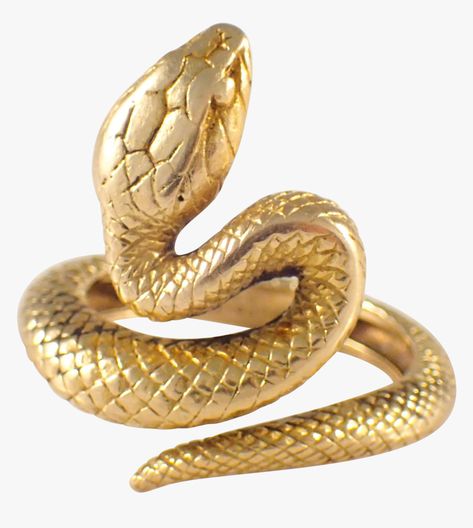 Snake Png, Snake Boots, Gold Jewellry, Lapis Lazuli Jewelry, Gold Mine, Snake Jewelry, Diamond Jewelry Designs, Snake Ring, Gold Snake