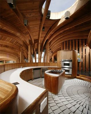 oh my wow!! awesome circular kitchen. Lotus House, House Projects Architecture, Quonset Hut, Wood Roof, Modern Architects, Mid Century Architecture, Organic Architecture, Architecture Student, California Homes