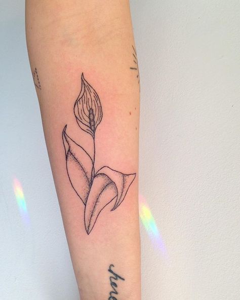 Peace Lily Tattoo, Small Lily Tattoo, Lily Tattoo Designs, Flesh Art, Lily Tattoo Meaning, Lily Tattoos, Tattoos And Their Meanings, Water Lily Tattoos, Lillies Tattoo