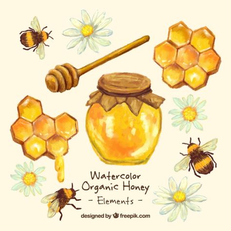 Hand painted honey jar with honeycomb  Free Vector Honeycombs Drawings, Honey Illustration, Honeybee Art, Honey Art, Bee Artwork, Bee Drawing, Zestaw Ikon, Bee Painting, Bee Tattoo