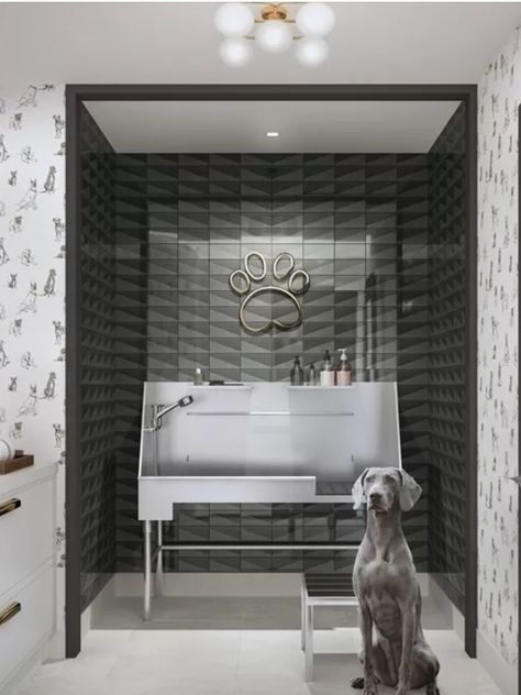 Dog Grooming Shop, Dog Spa, Dog Grooming Salons, Dog Hotel, Pet Spa, Dog Salon, Pet Hotel, Spa Interior, Grooming Salon