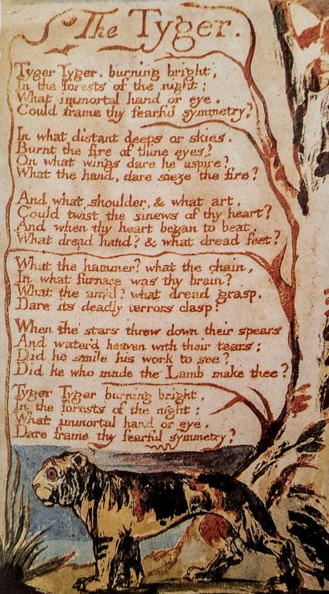 The Tyger William Blake, Songs Of Innocence, Amazing Wallpaper, William Blake, Cool Wallpaper, Growing Up, Visual Art, Art Wall, Poetry