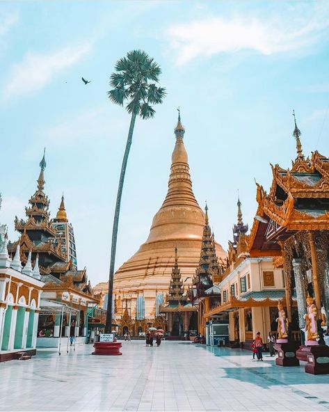 Shwedagon Pagoda, Myanmar Art, Myanmar Travel, Temple Photography, Yangon, Buddha Image, Myanmar, Buddhism, Old Photos