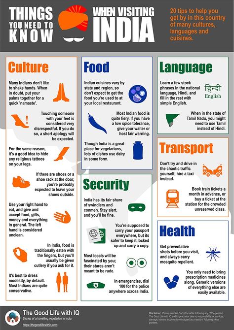 Travel infographic: 20 things you need to know while visiting India | The Good Life With IQ #travelresources #travelinfographics #india #travelplanning India Itenary, India Infographics, Travel Dairies, Travel Dairy, North East India, History Infographic, Travel Destinations In India, India Travel Places, India Trip