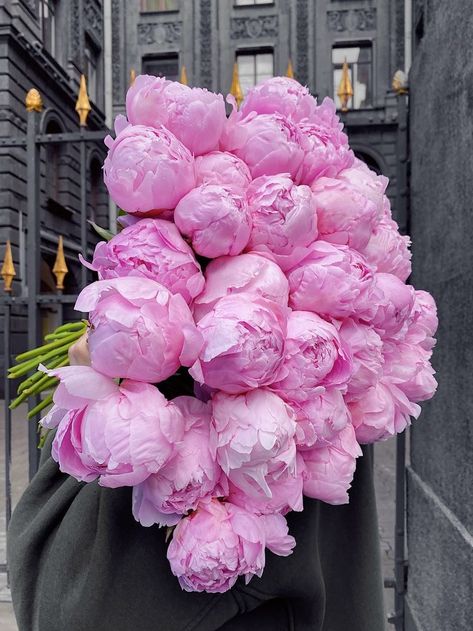 Peonies Aesthetic, Detective Theme, Babka Recipe, Peony Colors, Blooming Bouquet, Flowers Peonies, Peonies And Hydrangeas, Boquette Flowers, Flower Gift Ideas