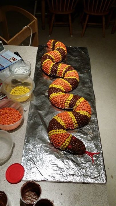 Reese's pieces snake cake that took my uncle six hours to make for my cousin's birthday. - Imgur Snake Cake, Snake Cakes, Snake Birthday, Snake Party, Reptile Party, Reese's Pieces, Deco Jungle, Cousin Birthday, Festa Harry Potter