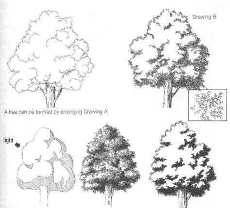 Material & Textures 1 Tree Drawings Pencil, Pencil Drawing Tutorials, Tree Textures, Tree Sketches, Landscape Sketch, Architectural Sketch, Plant Drawing, Landscape Drawings, Tree Drawing