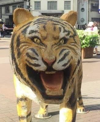 Tiger Spirit Animal, Tiger Statue, Cute Tigers, Really Cute Dogs, Funny Cartoon Gifs, Instagram Funny Videos, Fandom Funny, Appreciation Post, Big Cat