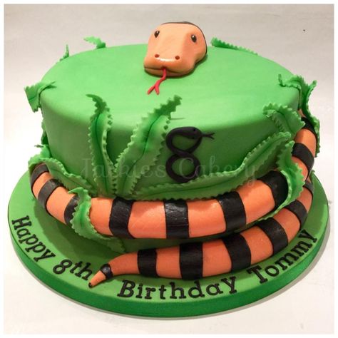 Rainbow snake cake with M&M centre - cake by Jackie's Cakery Snake Cake, Snake Cakes, Snake Birthday, Rainbow Snacks, Snake Party, 7th Birthday Cakes, 8th Birthday Cake, 5th Birthday Cake, Rainbow Snake