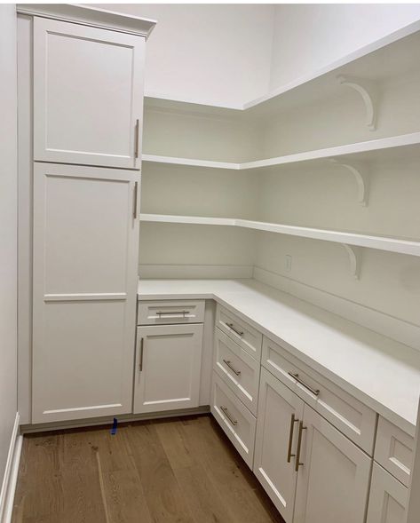 Butlers Pantry Ideas Layout, Walk In Pantry Ideas, Pantry Redo, Pantry Renovation, Pantry Closet Design, Pantry Layout, Dream Pantry, House Pantry, Pantry Inspiration