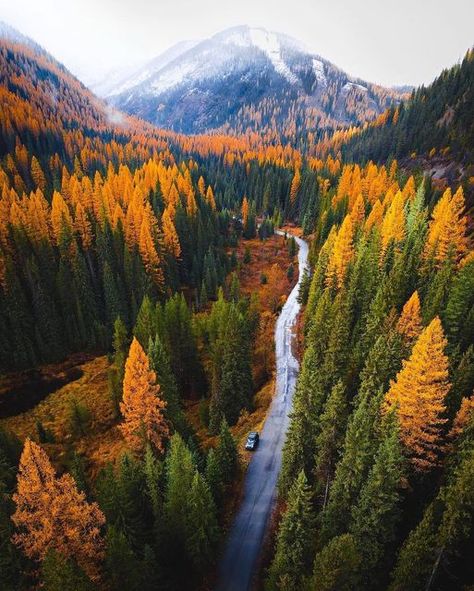 Fall Scenery, Photo Landscape, National Parks Photography, Montana Usa, Virtual Travel, Big Sky Country, Autumn Scenes, Autumn Scenery, Mountain Town