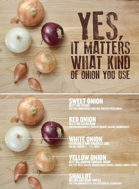 It Matters What Kind of Onion You Use Types Of Onions, Cooking Onions, Cooking 101, Food Info, Cooking Basics, Food Facts, Sangria, I Love Food, No Cook Meals