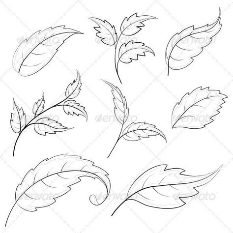 Flower Drawing Tutorials, Tree Vector, Flowers Drawing, Flower Art Drawing, Contour Drawing, Pencil Drawings Easy, Leaf Drawing, White Tree, Flowers Plants