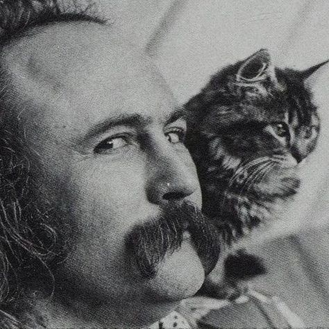 acid memories on Instagram: "David Crosby and a Felis catus domesticus by Henry Diltz" Henry Diltz, David Crosby, Royalty, Music, On Instagram, Instagram