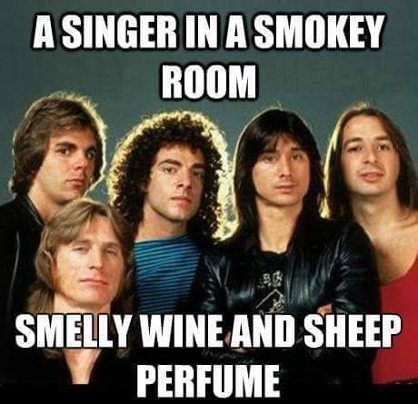 Misheard Lyrics Funny, Misheard Song Lyrics, Lyrics Funny, Funny Lyrics, Misheard Lyrics, Music Puns, Journey Band, Journey Steve Perry, Song Memes