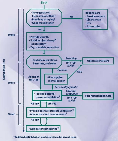 Stand and Deliver: Neonatal resuscitation Neonatal Resuscitation, Midwife Assistant, Biochemistry Notes, Psychiatric Nurse Practitioner, Neonatal Care, Ob Nurse, Stand And Deliver, Ob Nursing, Nurse Anesthetist