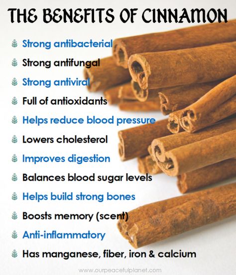 Did you know that good health can be as close as your spice rack? Learn the health benefits of cinnamon a spice that not only tastes good but can heal! Health Benefits Of Cinnamon, Benefits Of Cinnamon, Cinnamon Health Benefits, Cinnamon Benefits, Food Health Benefits, Health Information, Herbs For Health, Healing Food, Natural Health Remedies