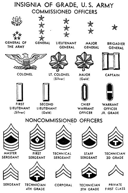 army ranks | All the insignas of United States/Canadian Military Us Army Emblem, Us Army Uniforms, Army Insignia, Army Ranks, Ww2 Soldiers, Military Ranks, Army Patches, Military Branches, Army Rangers