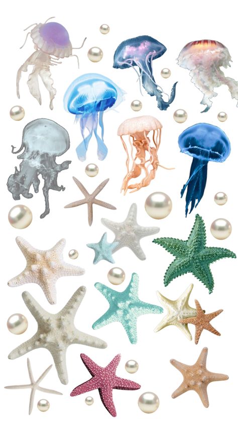 Sea Stickers Ocean, Ocean Scrapbook, Sea Stickers, Jellyfish Sticker, Sea Decoration, Ocean Stickers, Starfish Art, Diy Photo Book, Iphone Stickers