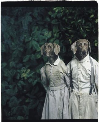 William Wegman Weimaraners - Bing Images William Wegman, Weimaraner Dogs, Man Ray, Weimaraner, Animal Heads, Caricatures, Mans Best Friend, Dog Love, Puppy Love