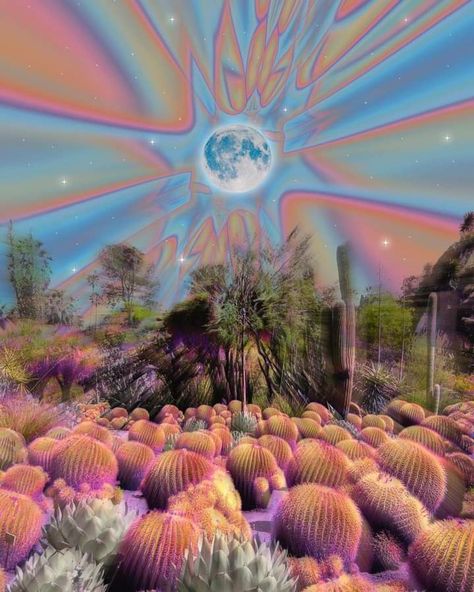 Trippy, LSD, cactus, moon Lsd Aesthetic, Russian Anime, Psilocybin Mushrooms, Trippy Aesthetic, Boost Creativity, Big Photo, Balanced Lifestyle, Moon Goddess, Happy Lifestyle