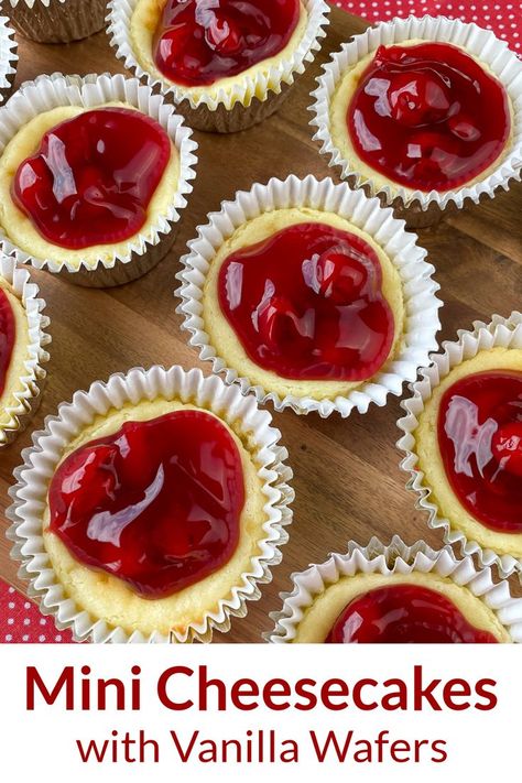 Cheesecake lovers will fall head over heals for this Cherry Cheesecake Cupcakes recipe because they are so easy to make! Made in cupcake liners on a vanilla wafer this classic recipe looks fancy and tastes impressive. Mini cherry cheesecake bites are one of our family’s favorite dessert recipes! Individual Cheesecake Cups, Mini Cheesecakes With Vanilla Wafers, Cherry Cheesecake Cupcakes, Cherry Cheesecake Bites, Cheesecake Cupcakes Recipe, Mini Cherry Cheesecakes, Cherry Cheesecake Recipe, Mini Cheesecakes Easy, Cheesecake Bites Recipe