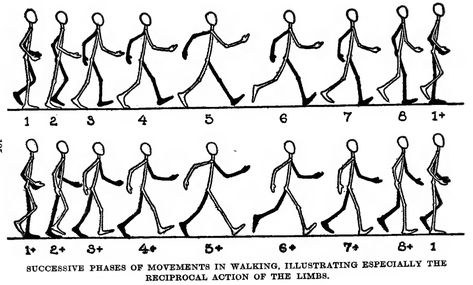 How to Draw and Animate a Person Walking or Running - Huge Guide and Tutorial - How to Draw Step by Step Drawing Tutorials Animation Walk Cycle, Animation Tips, Walking Animation, Animation Storyboard, How To Draw Steps, Person Drawing, Stick Figure Drawing, Animation Sketches, Human Drawing