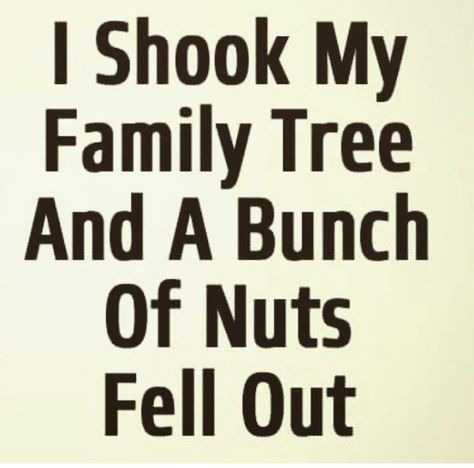 Crazy Family Humor, Dysfunctional Family Quotes Funny, Crazy Family Quotes, Funny Family Quotes, Dysfunctional Family Quotes, Dinner Quotes, Scrapbooking Quotes, Best Family Quotes, What Is Family