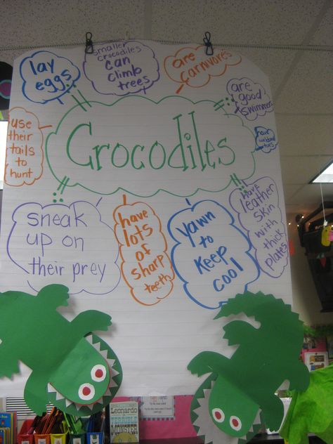 Crocodiles Anchor Chart Rainforest Preschool, Crocodile Facts, Crocodile Craft, Preschool Jungle, Jungle Classroom, Summer Preschool Activities, Animal Habitat, Rainforest Theme, Night Theme